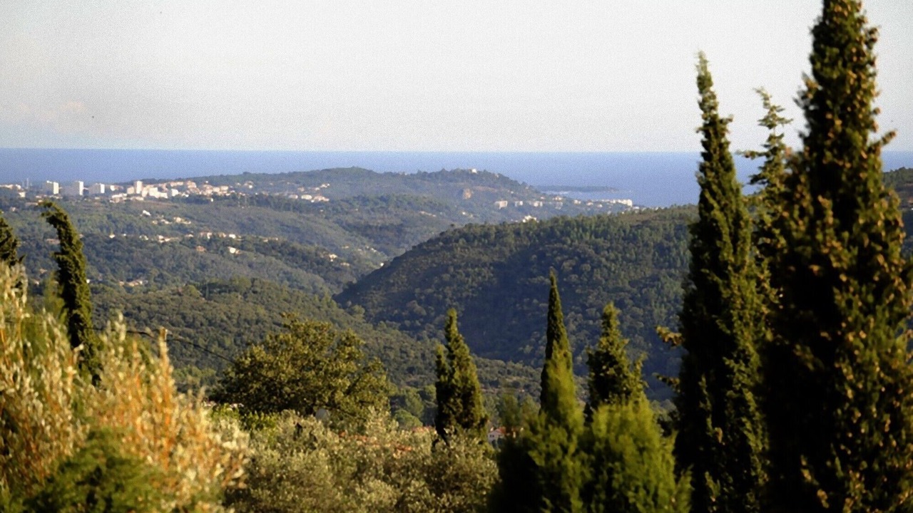 Photo of Others in Cabris
