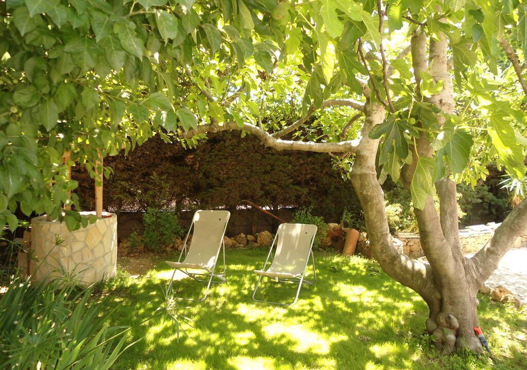 Photo of Outdoor in Le Muy