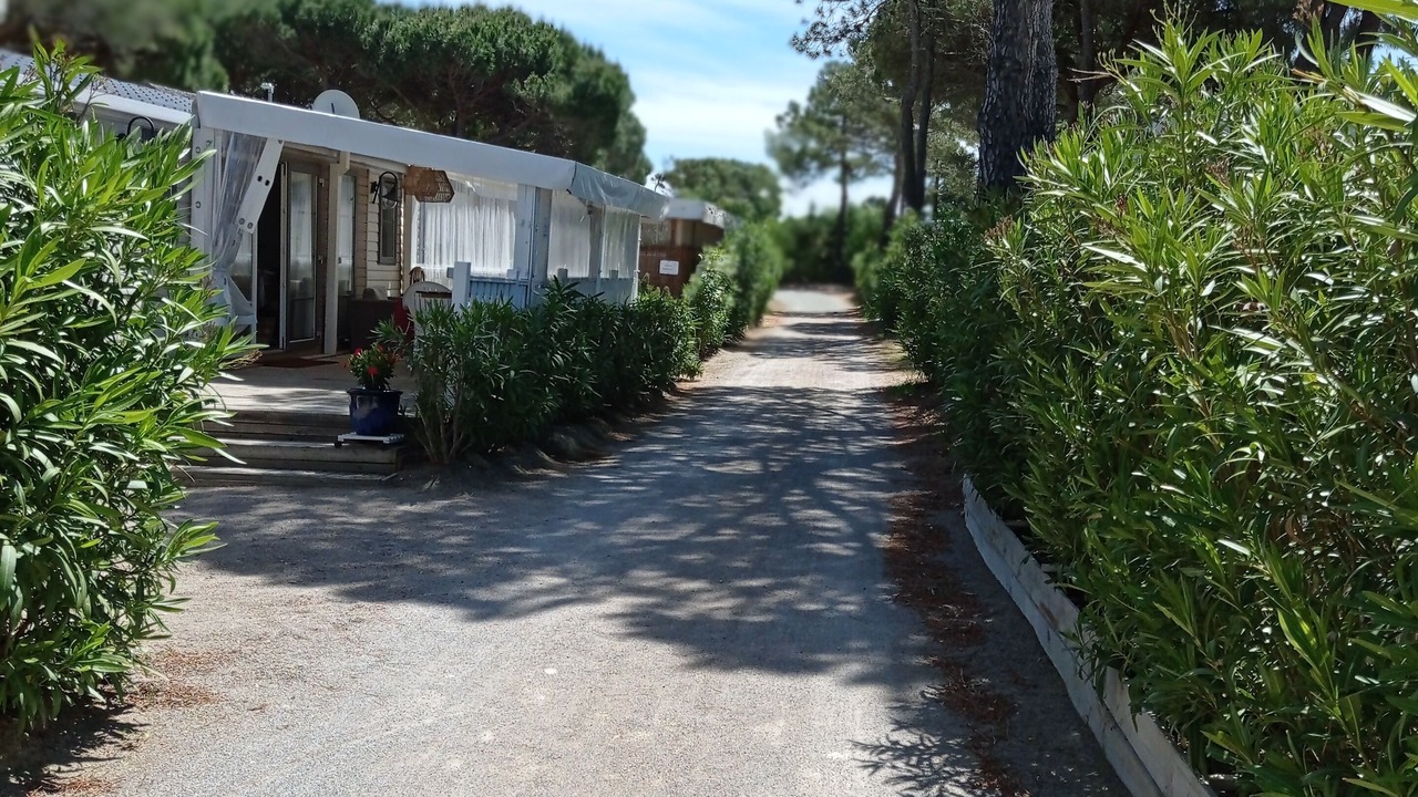 Photo of Outdoor in Ramatuelle