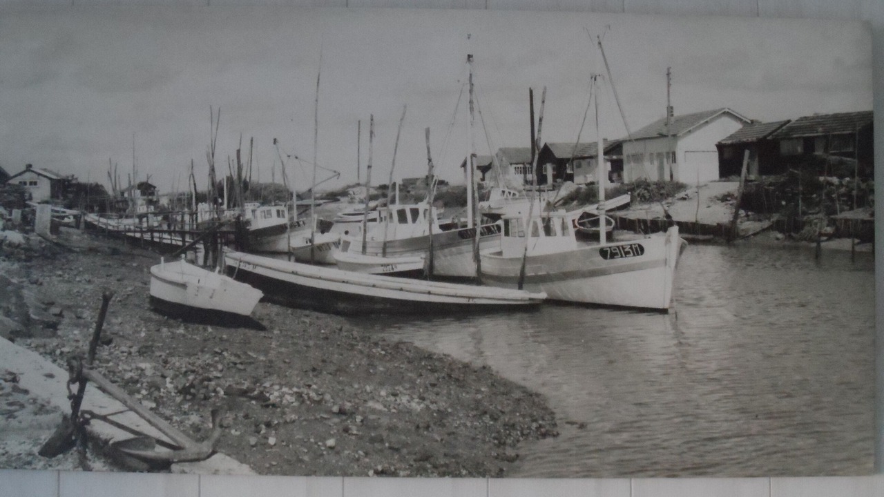 Photo of Others in La Plaine-sur-Mer