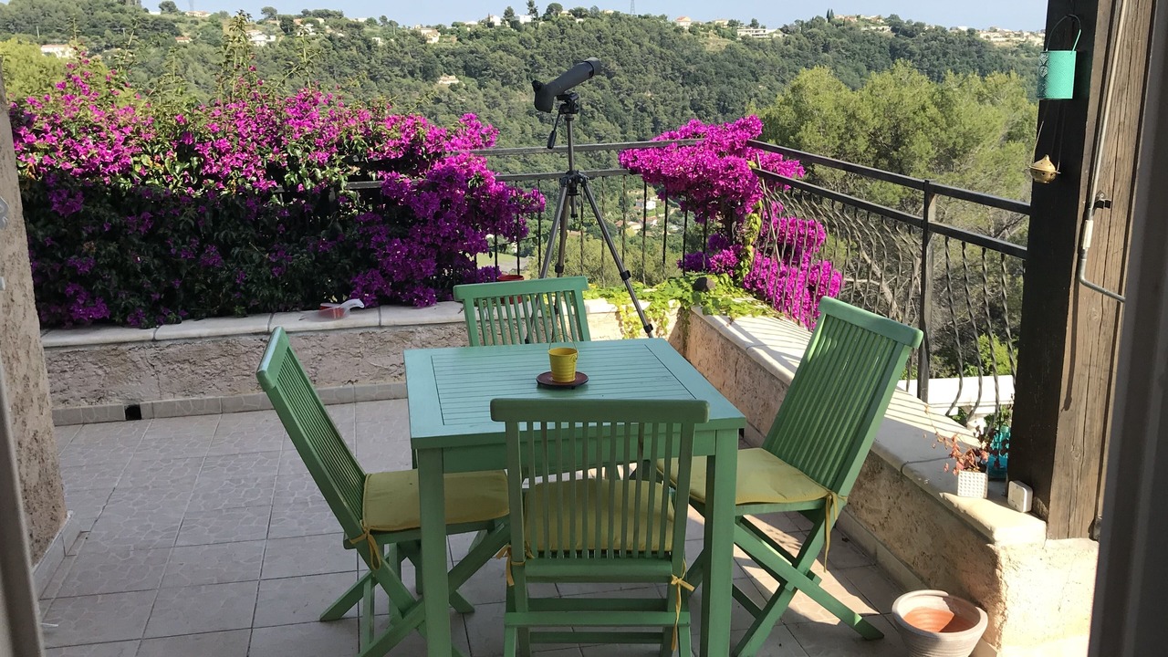Photo of Outdoor in Vence