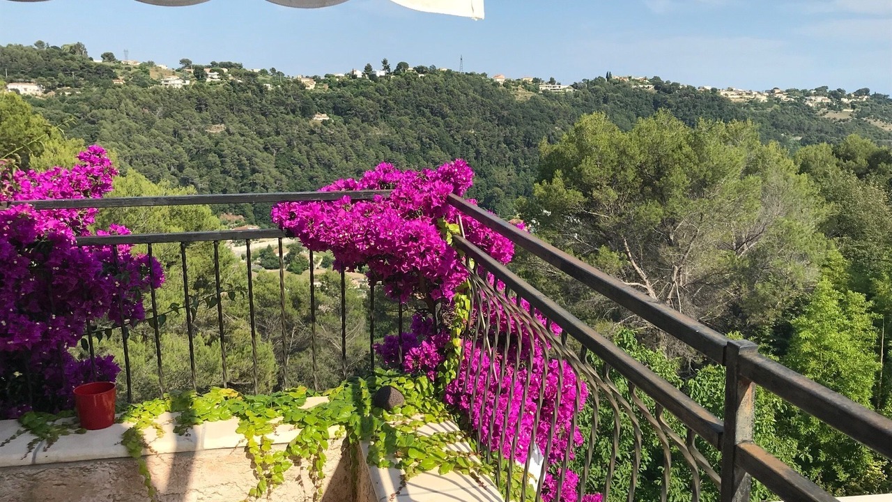 Photo of Outdoor in Vence
