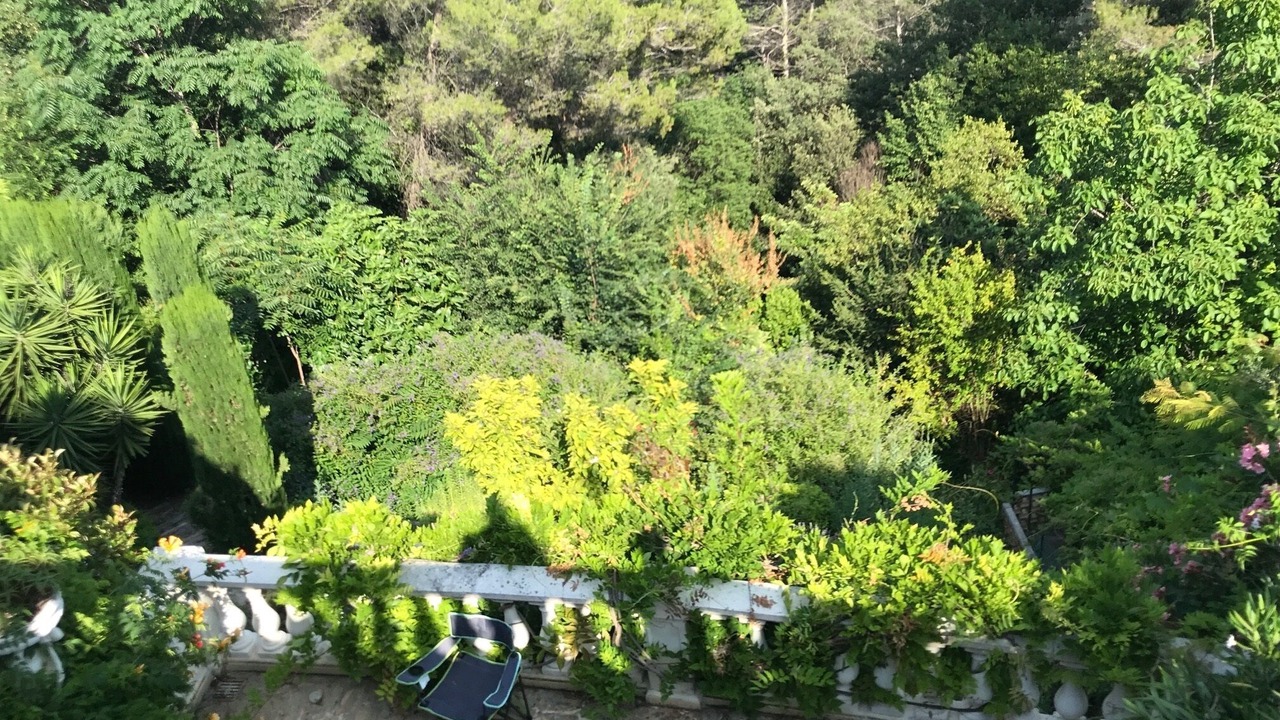 Photo of Outdoor in Vence