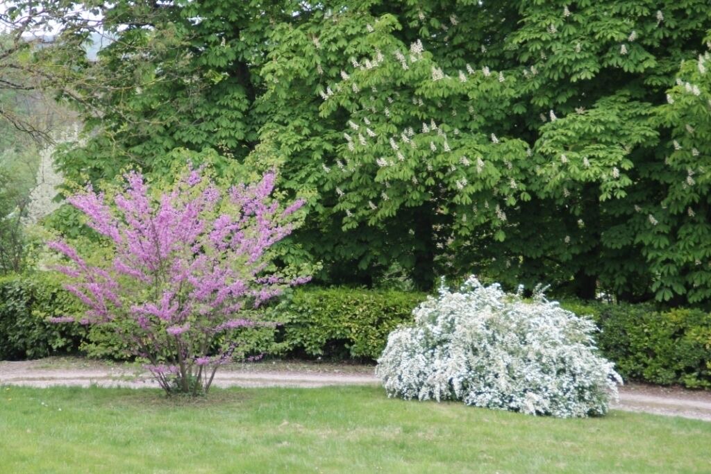 Photo of Outdoor in Saint-Gervais-la-Foret