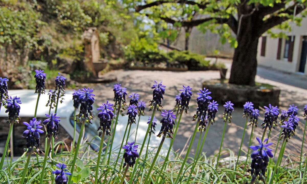 Photo of Outdoor in Greolieres
