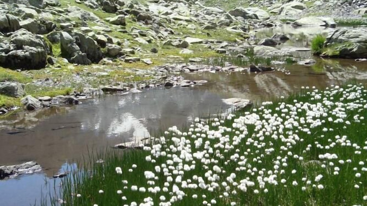 Photo of Outdoor in Saint-Colomban-des-Villards