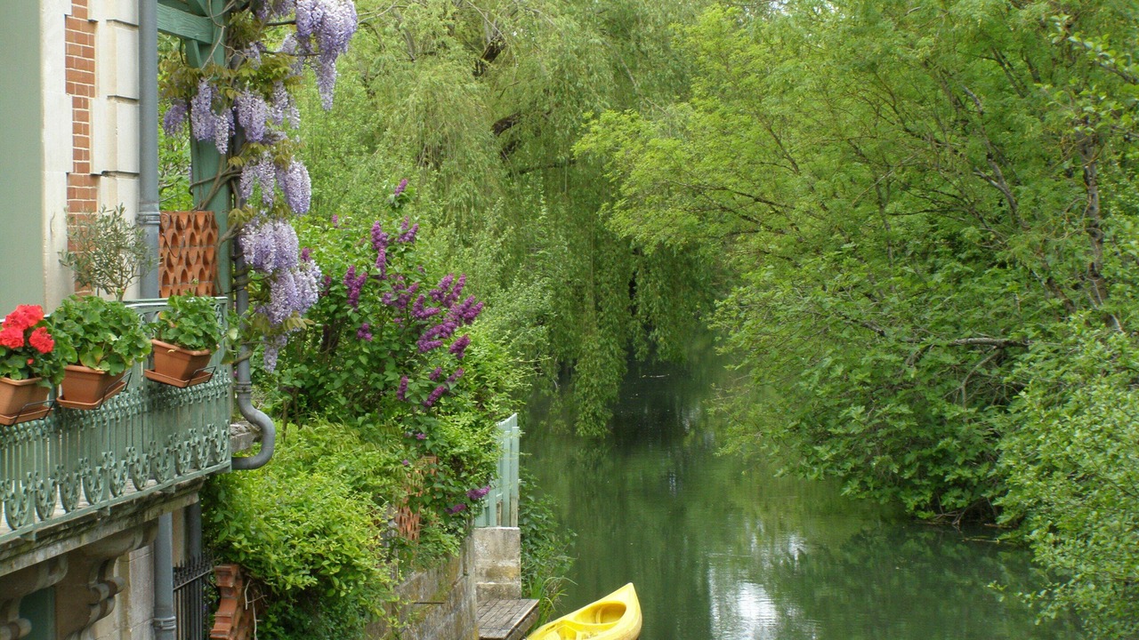 Photo of Others in Pons