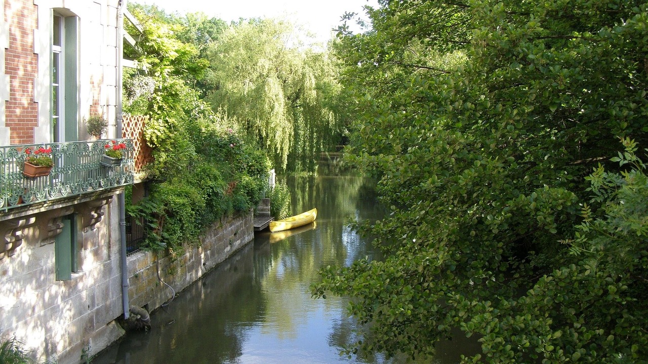 Photo of Others in Pons