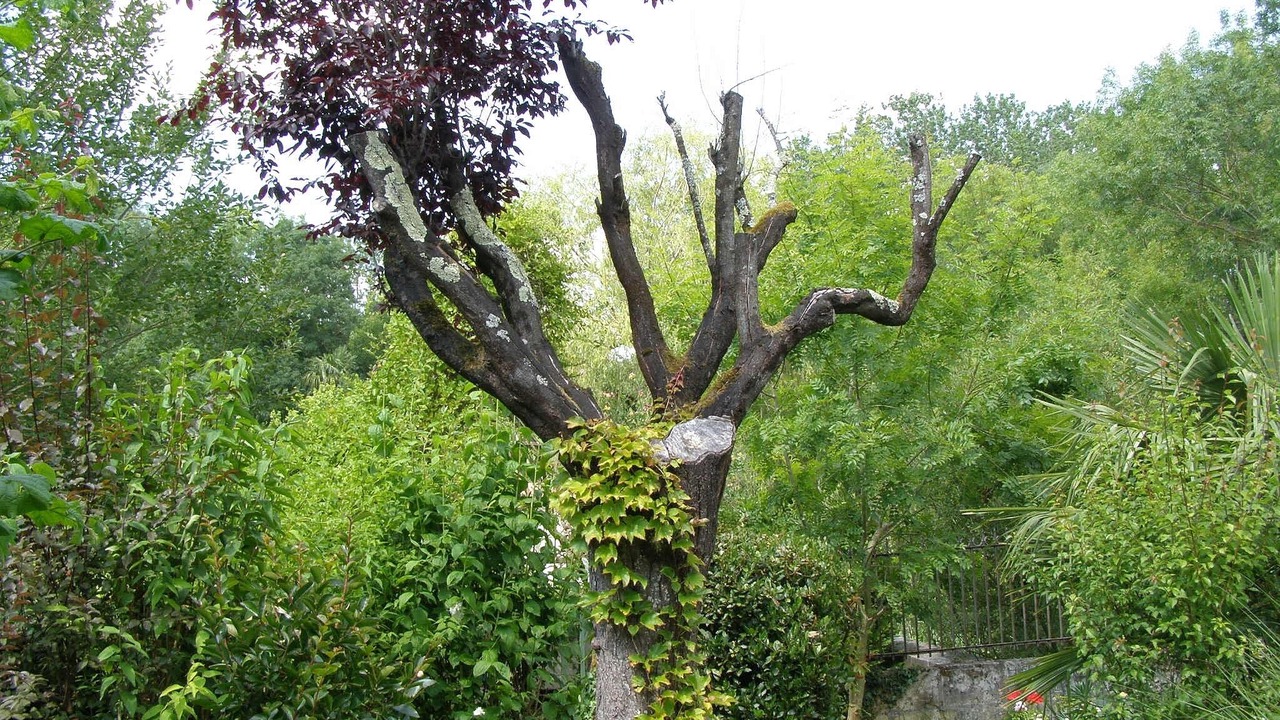 Photo of Outdoor in Pons