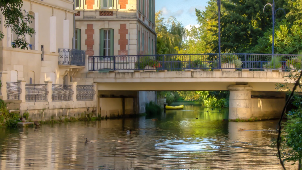 Photo of Others in Pons