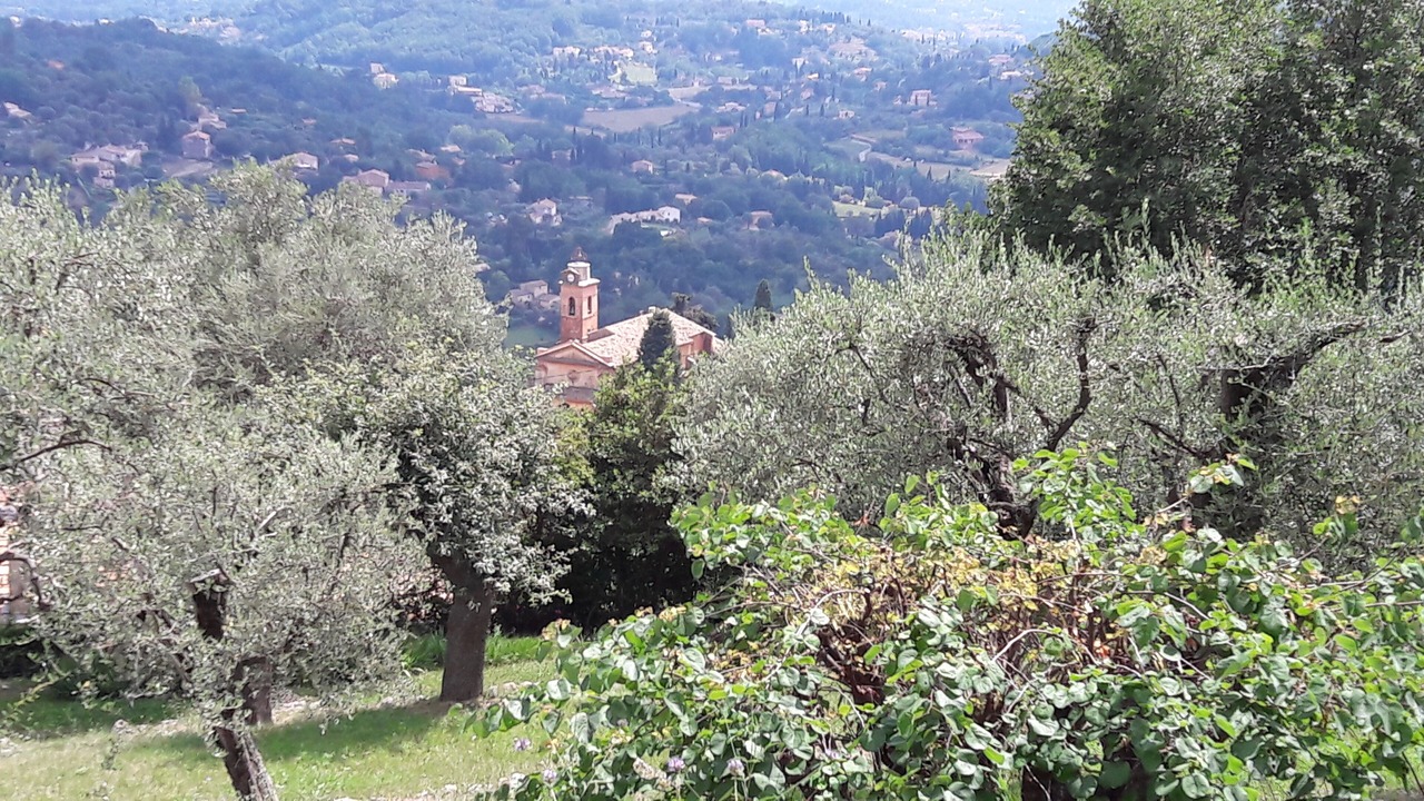 Photo of Outdoor in Magagnosc