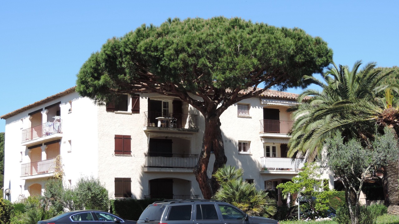 Photo of Outdoor in Les Issambres
