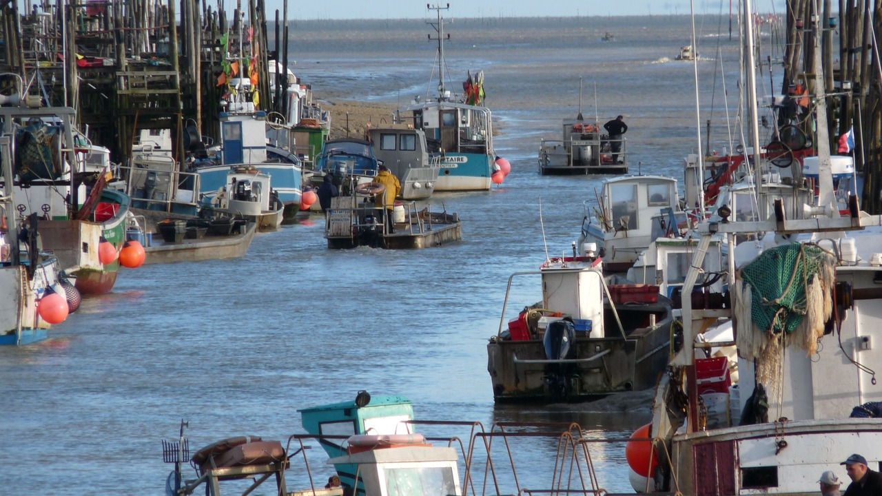 Photo of Others in Bouin