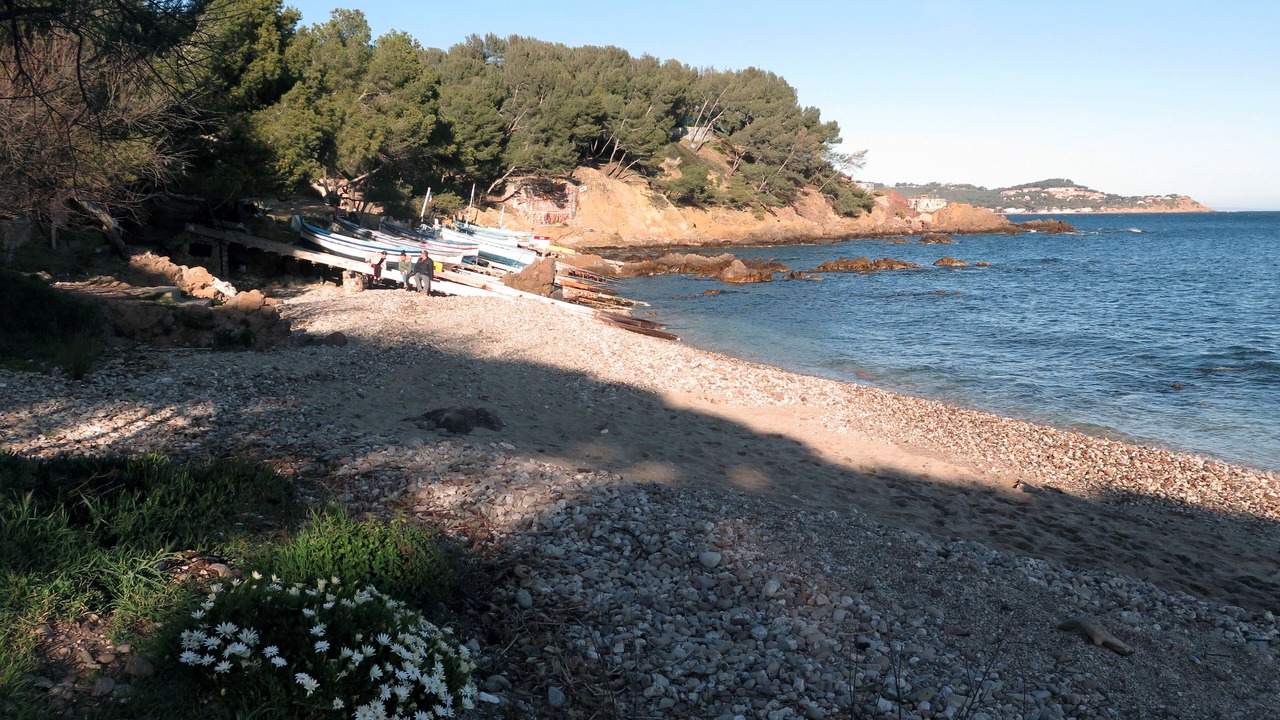 Photo of Others in La Seyne-sur-Mer
