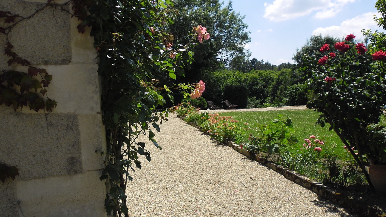Photo of Outdoor in Saint Palais
