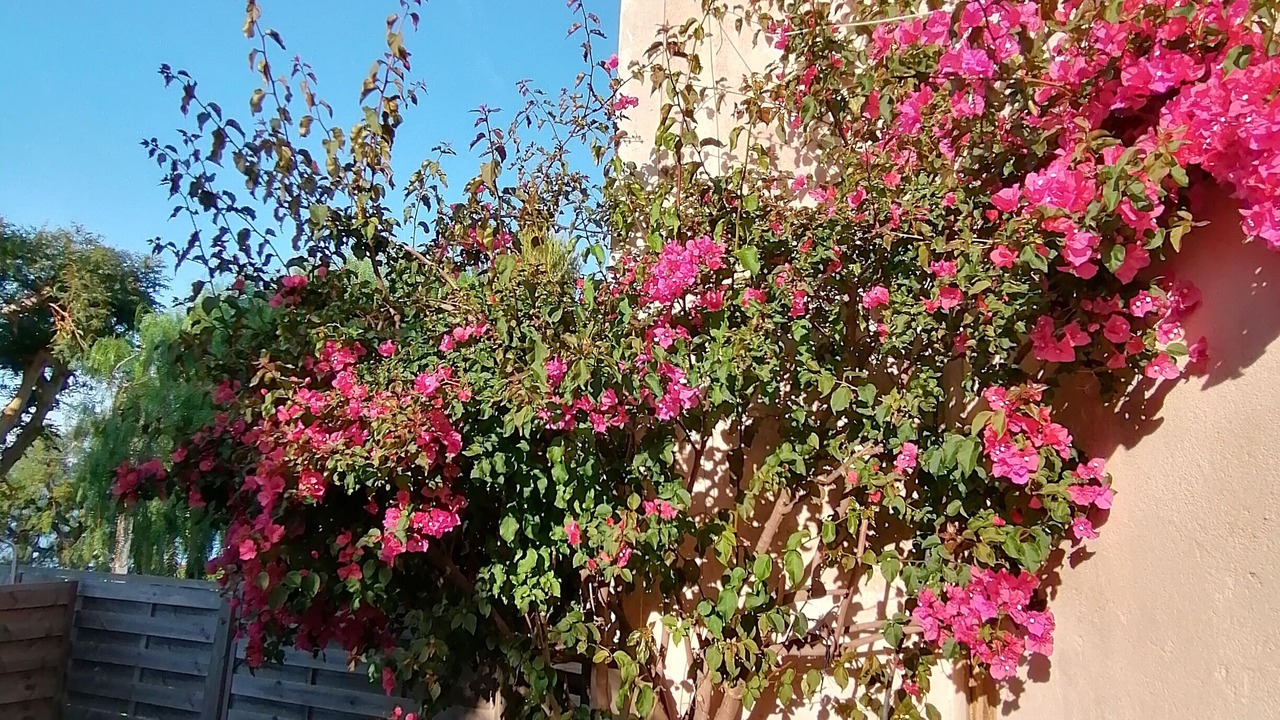 Photo of Outdoor in Antheor