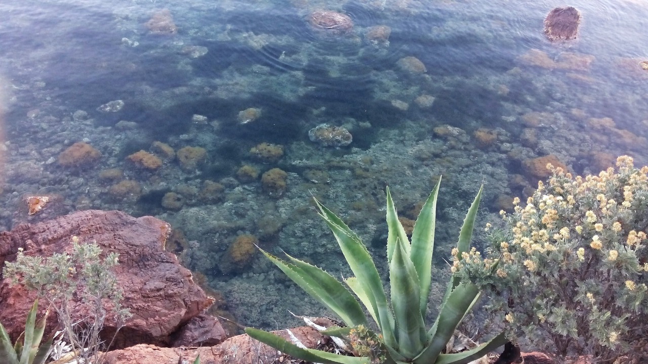 Photo of Outdoor in Antheor