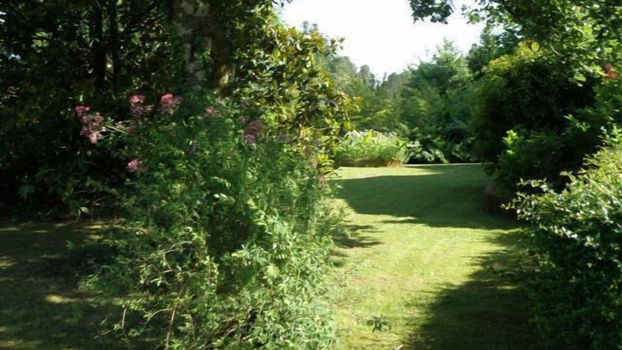 Photo of Outdoor in Mees