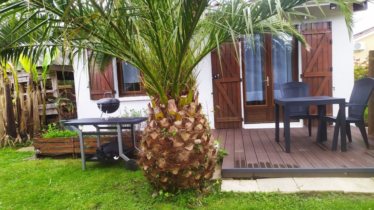 Photo of Outdoor in Mees
