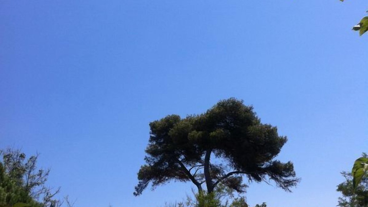 Photo of Outdoor in Hyeres