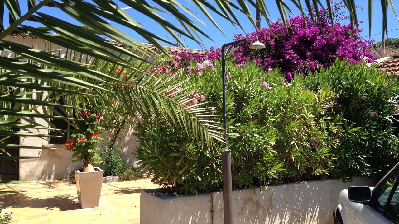 Photo of Outdoor in La Capte