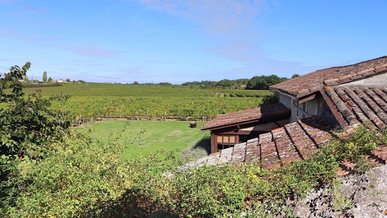 Photo of Outdoor in Saint-Vivien