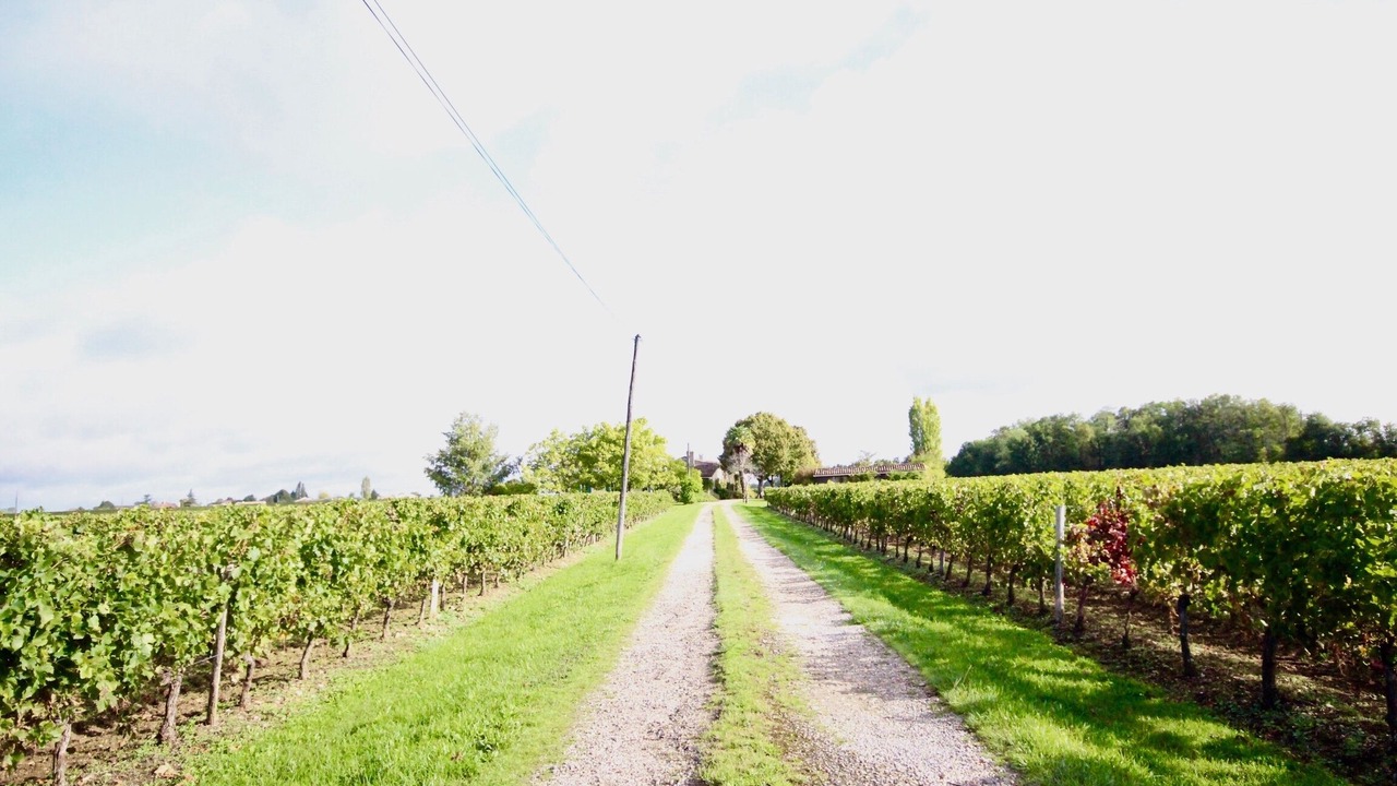 Photo of Outdoor in Saint-Vivien