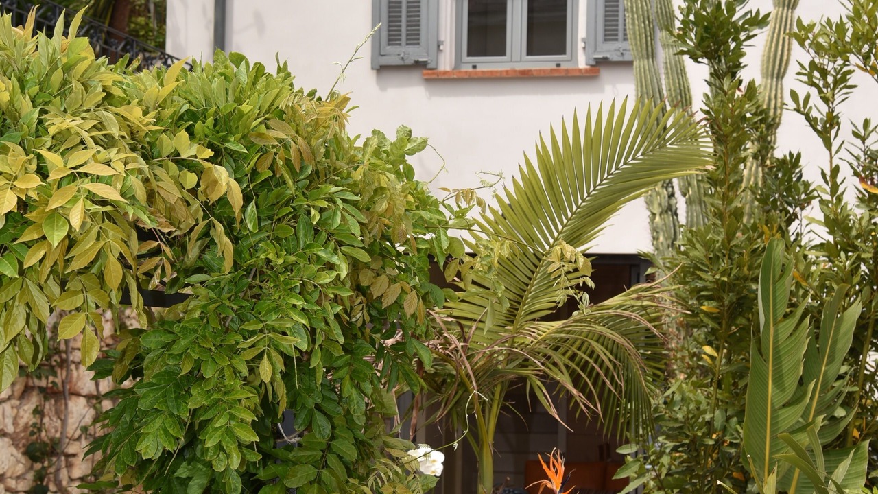 Photo of Others in Cap-Ferrat