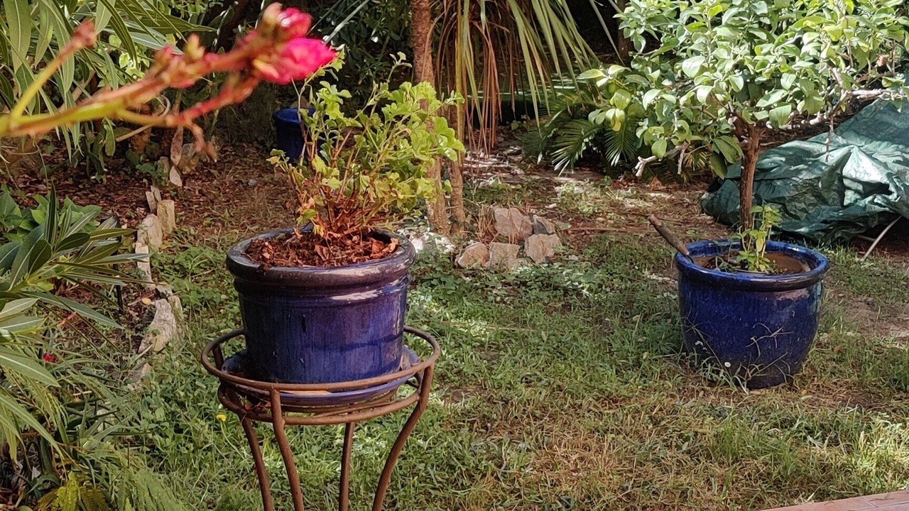 Photo of Patio Balcony in La Croix des Gardes
