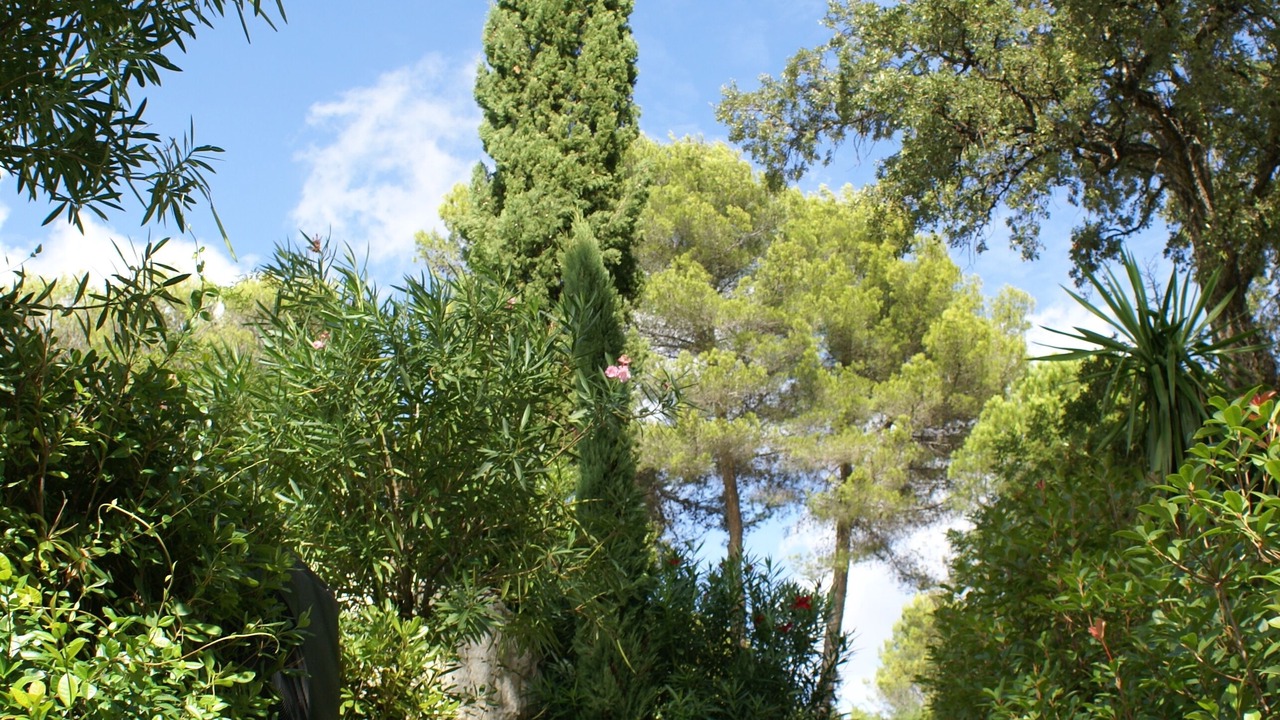 Photo of Outdoor in Biot