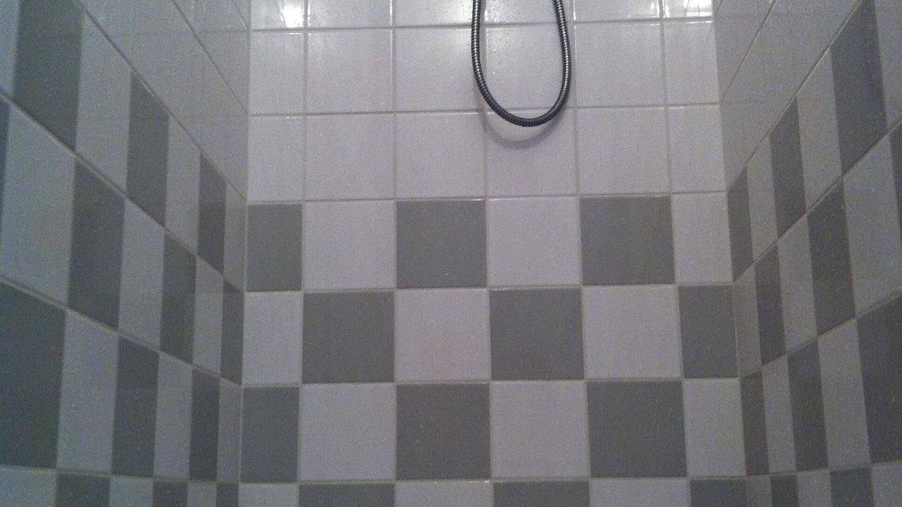 Photo of Bathroom in Saubusse