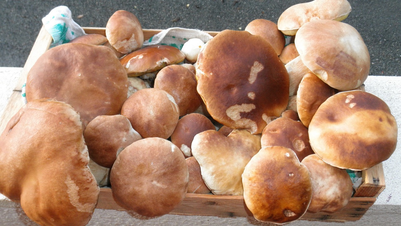 Photo of Others in Beynat