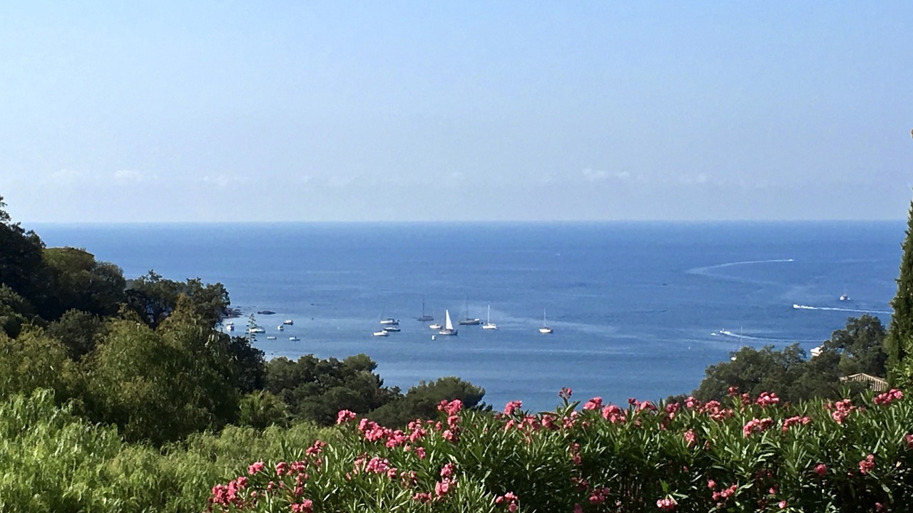 Photo of Others in Saint-Raphael
