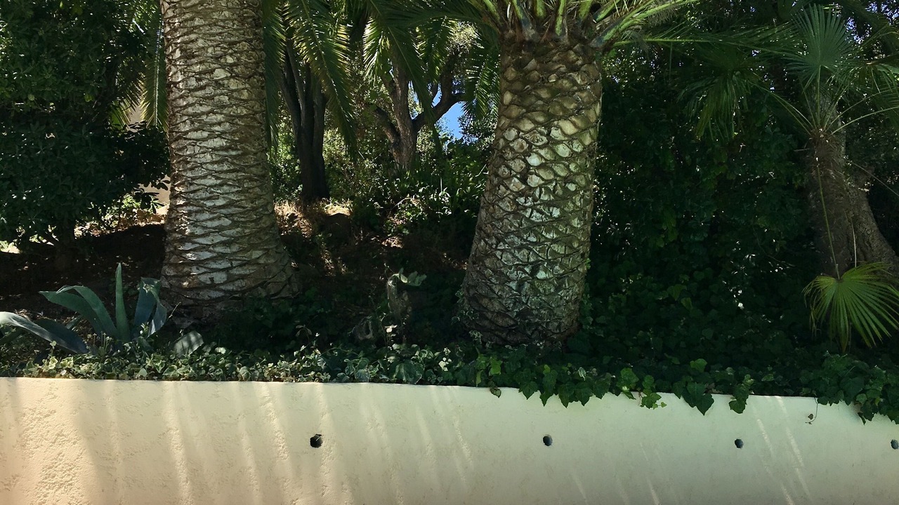 Photo of Outdoor in Saint-Raphael