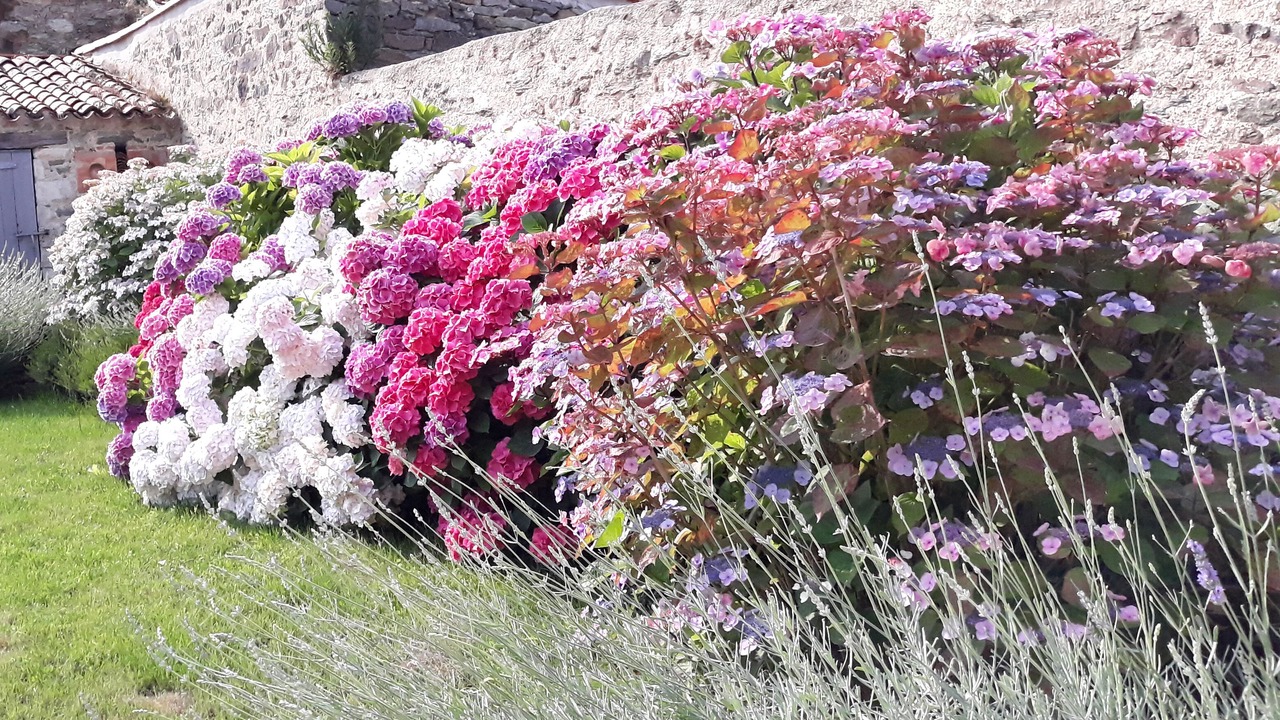 Photo of Outdoor in Chateau-Guibert