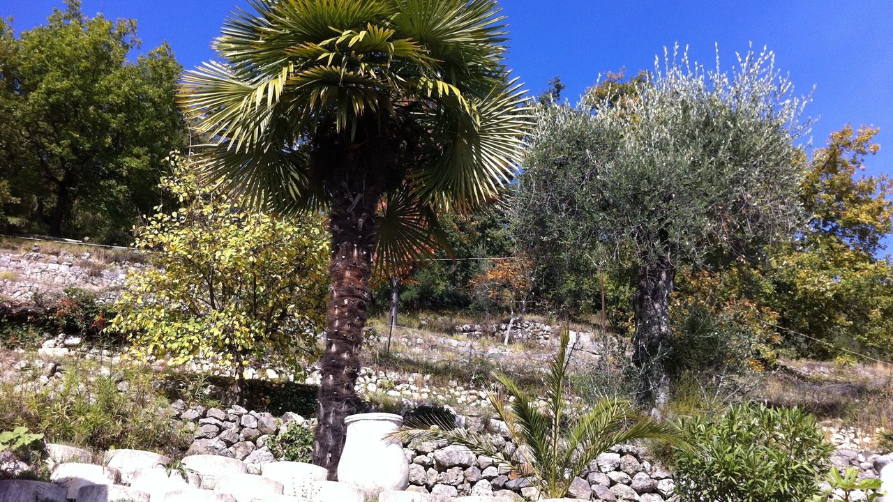 Photo of Outdoor in Magagnosc