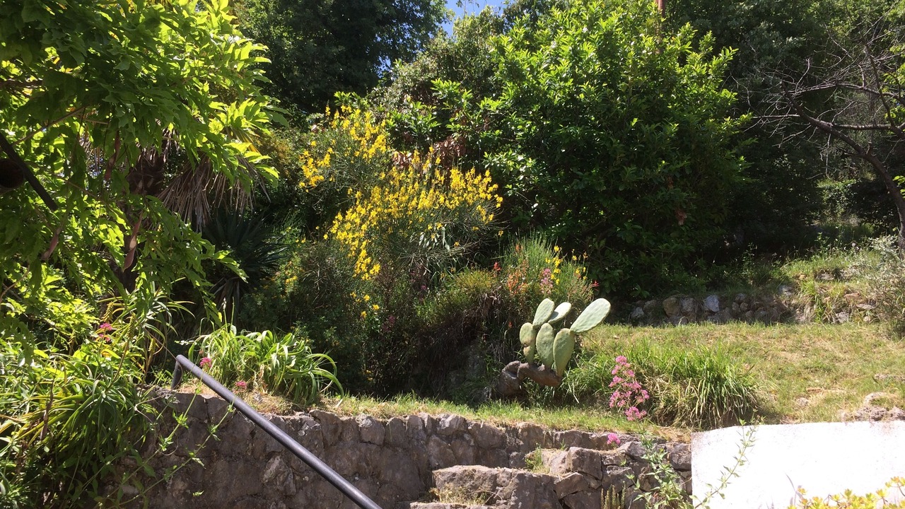 Photo of Outdoor in Magagnosc