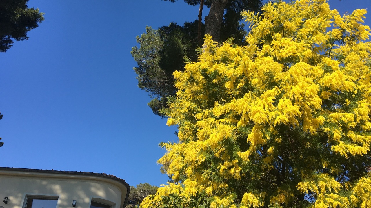Photo of Outdoor in Antibes
