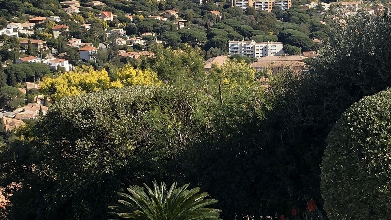 Photo of Outdoor in Cavalaire-sur-Mer