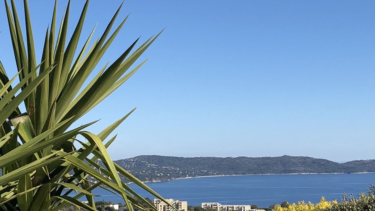 Photo of Others in Cavalaire-sur-Mer