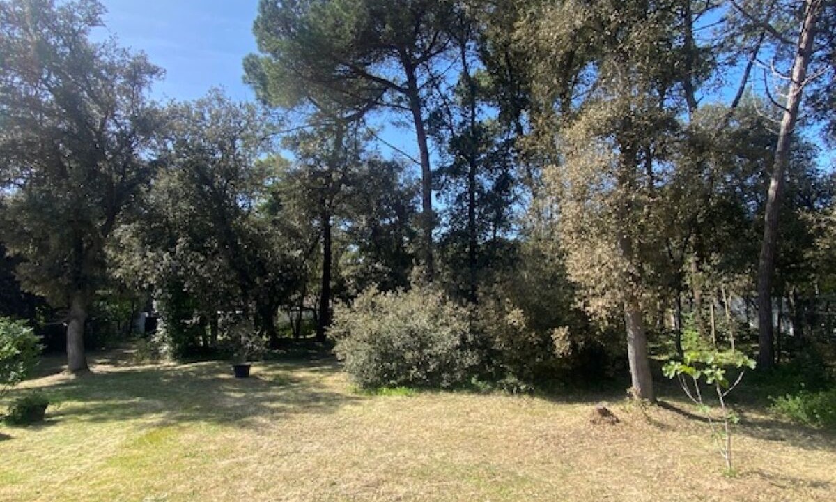 Photo of Others in La Couarde-sur-Mer