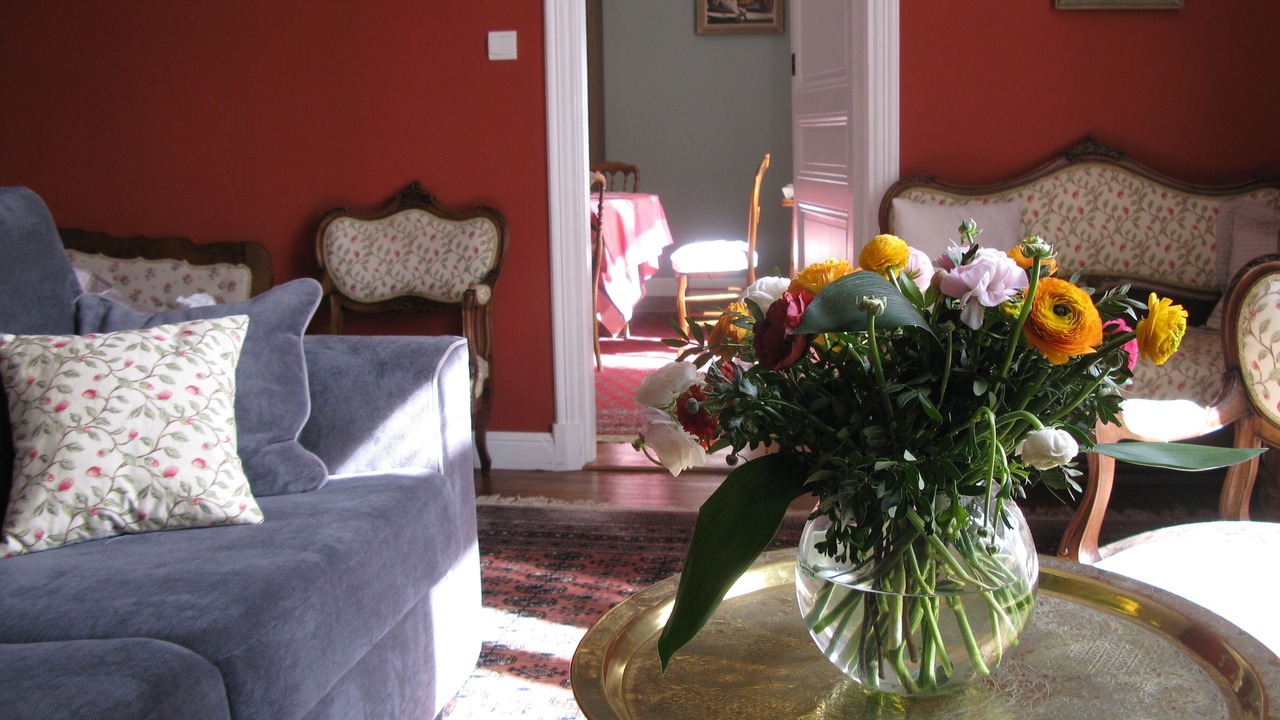 Photo of Livingroom in Sospel