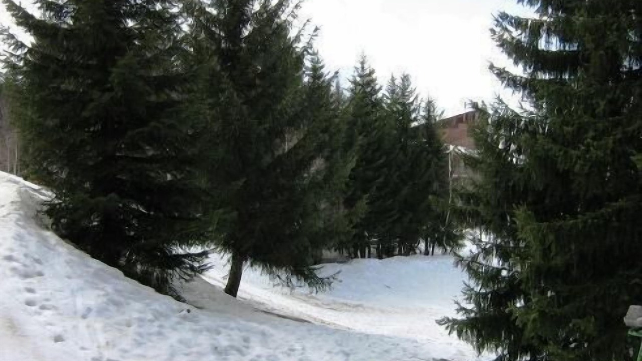 Photo of Outdoor in Arc-1800