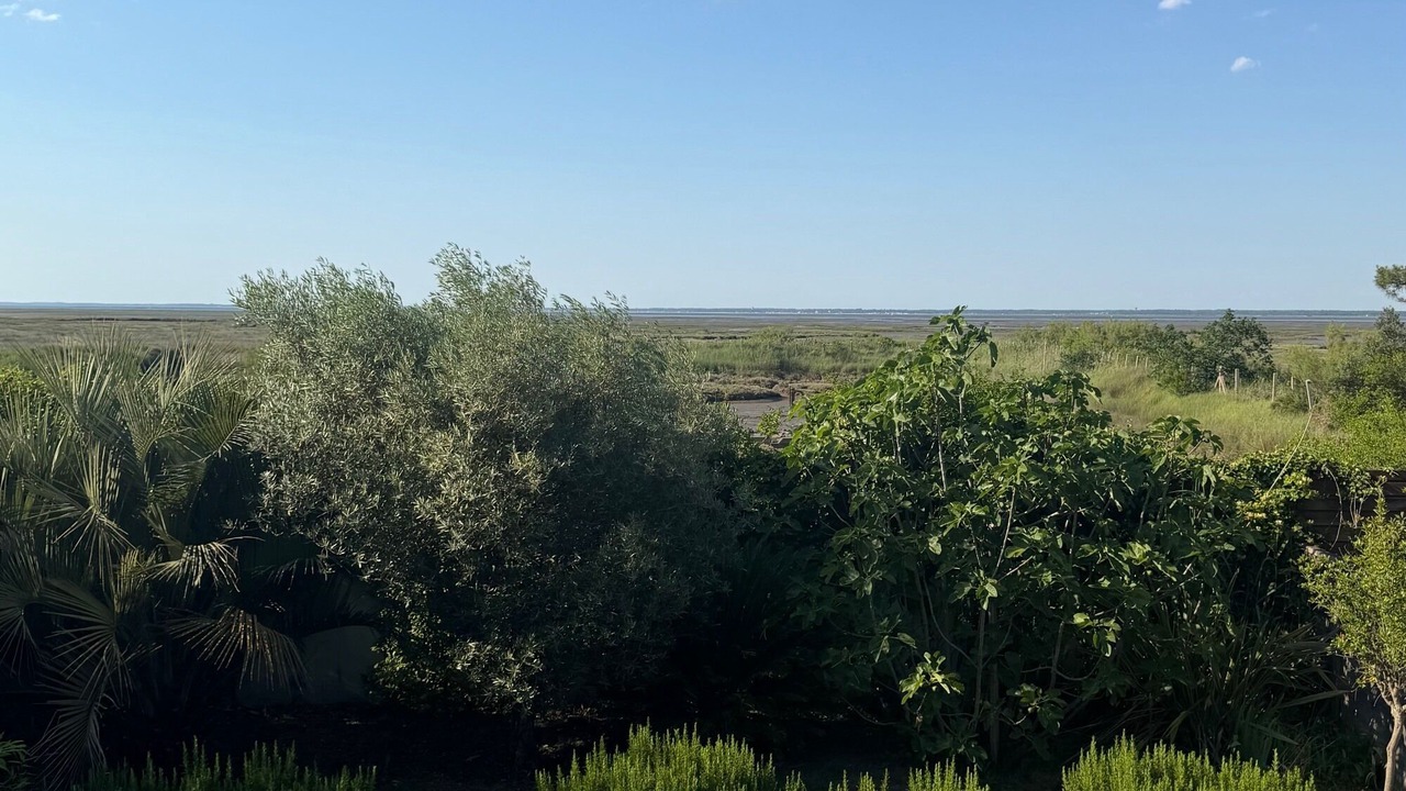Photo of Outdoor in Gujan-Mestras