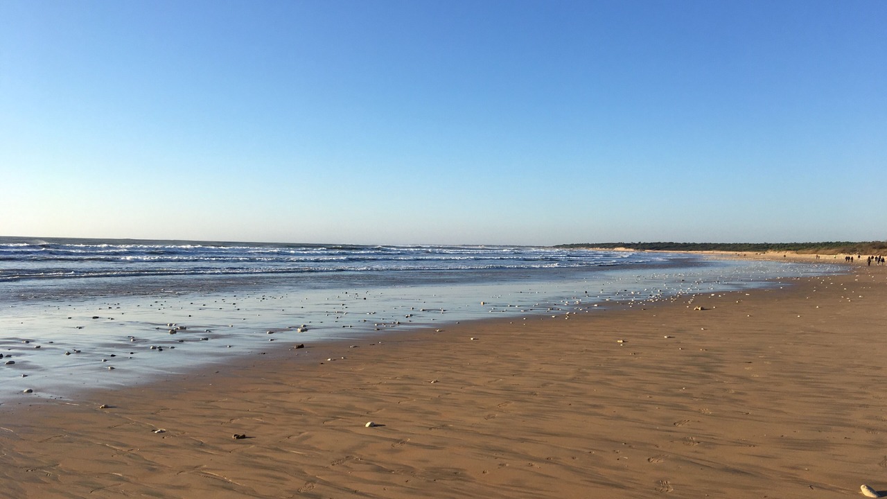Photo of Others in La Tranche-sur-Mer
