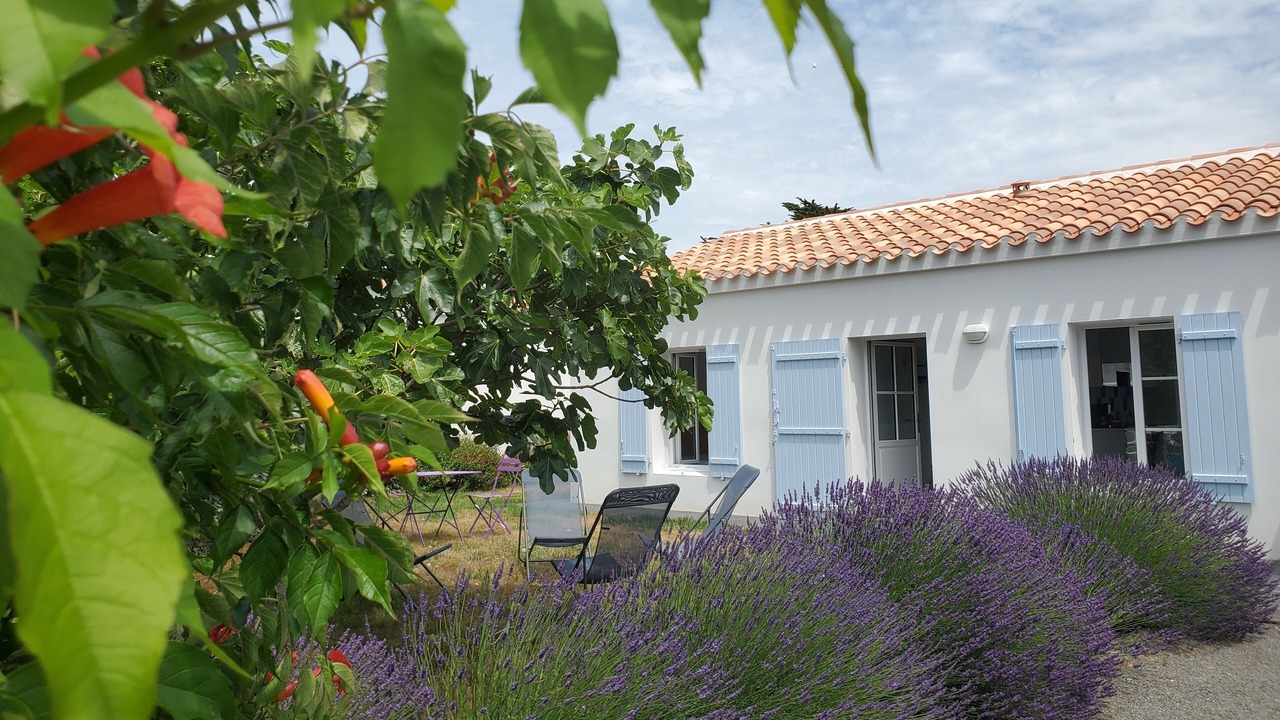 Photo of Outdoor in L'Epine