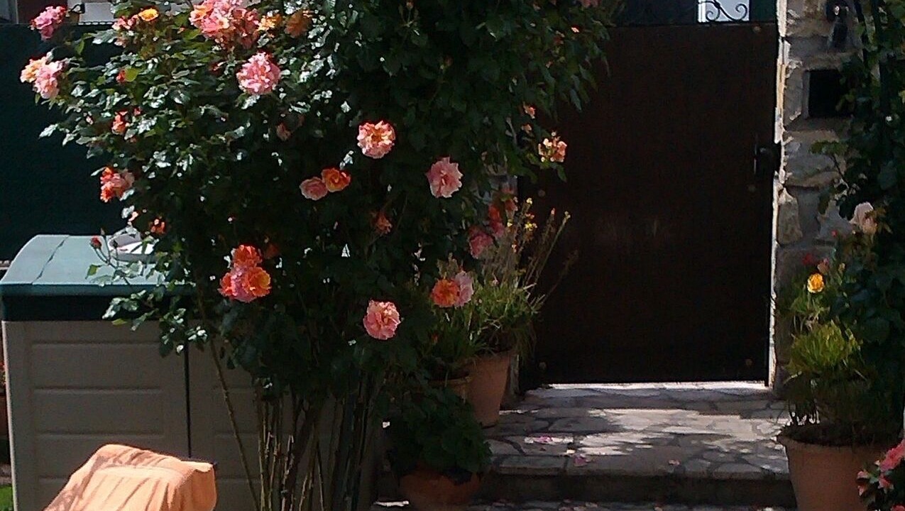 Photo of Outdoor in Villeneuve-Loubet