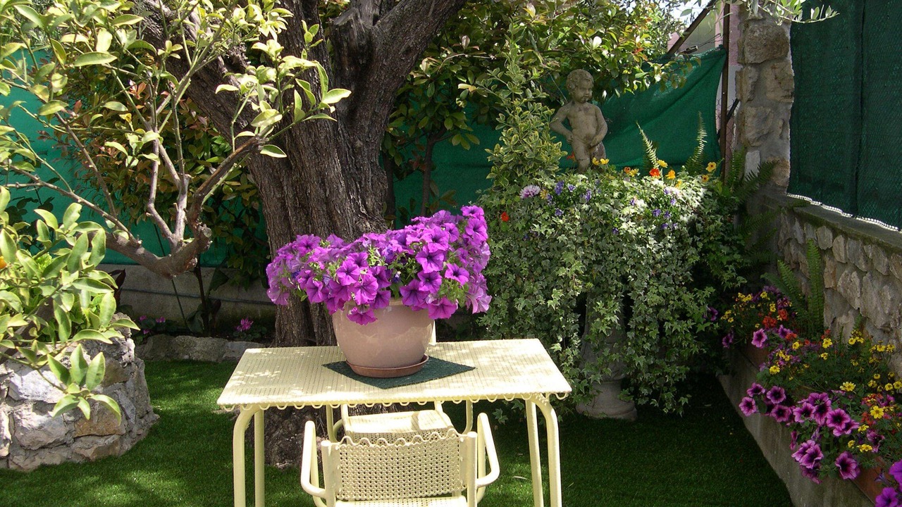 Photo of Outdoor in Villeneuve-Loubet