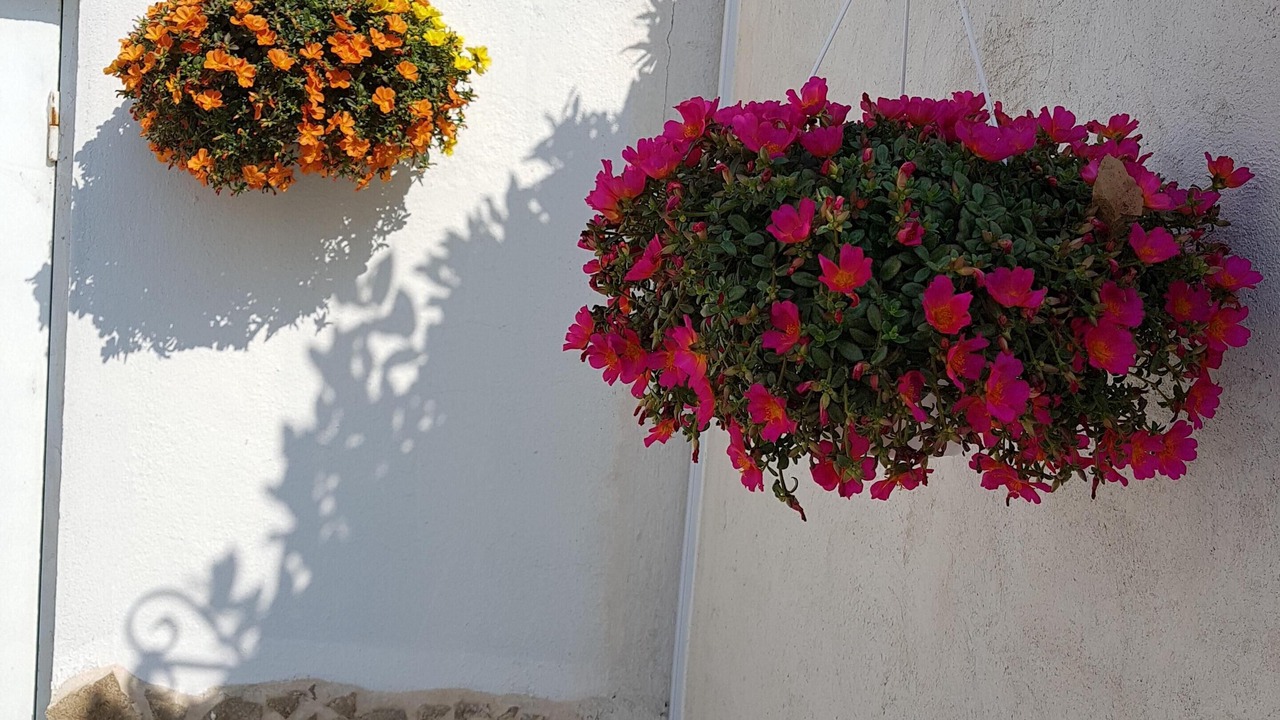Photo of Outdoor in Villeneuve-Loubet