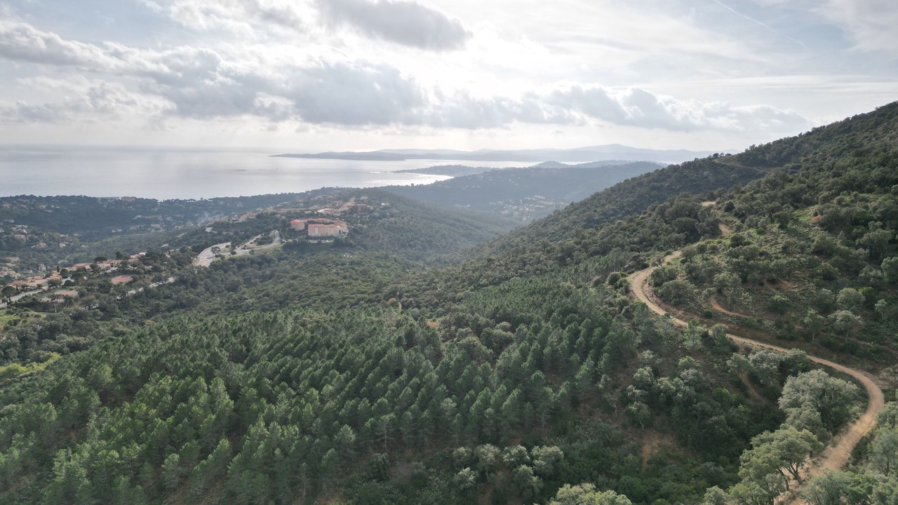 Photo of Outdoor in Les Issambres